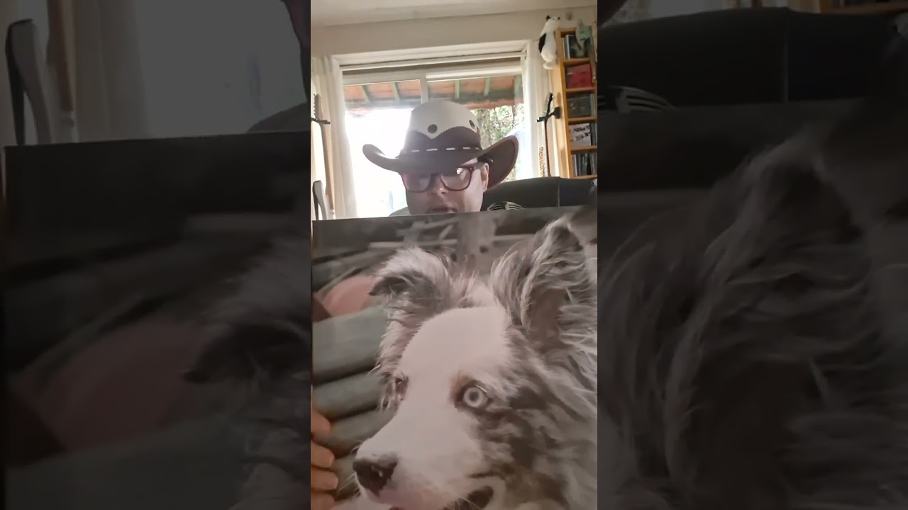 Dedicated to my Faithful Border Collie 
