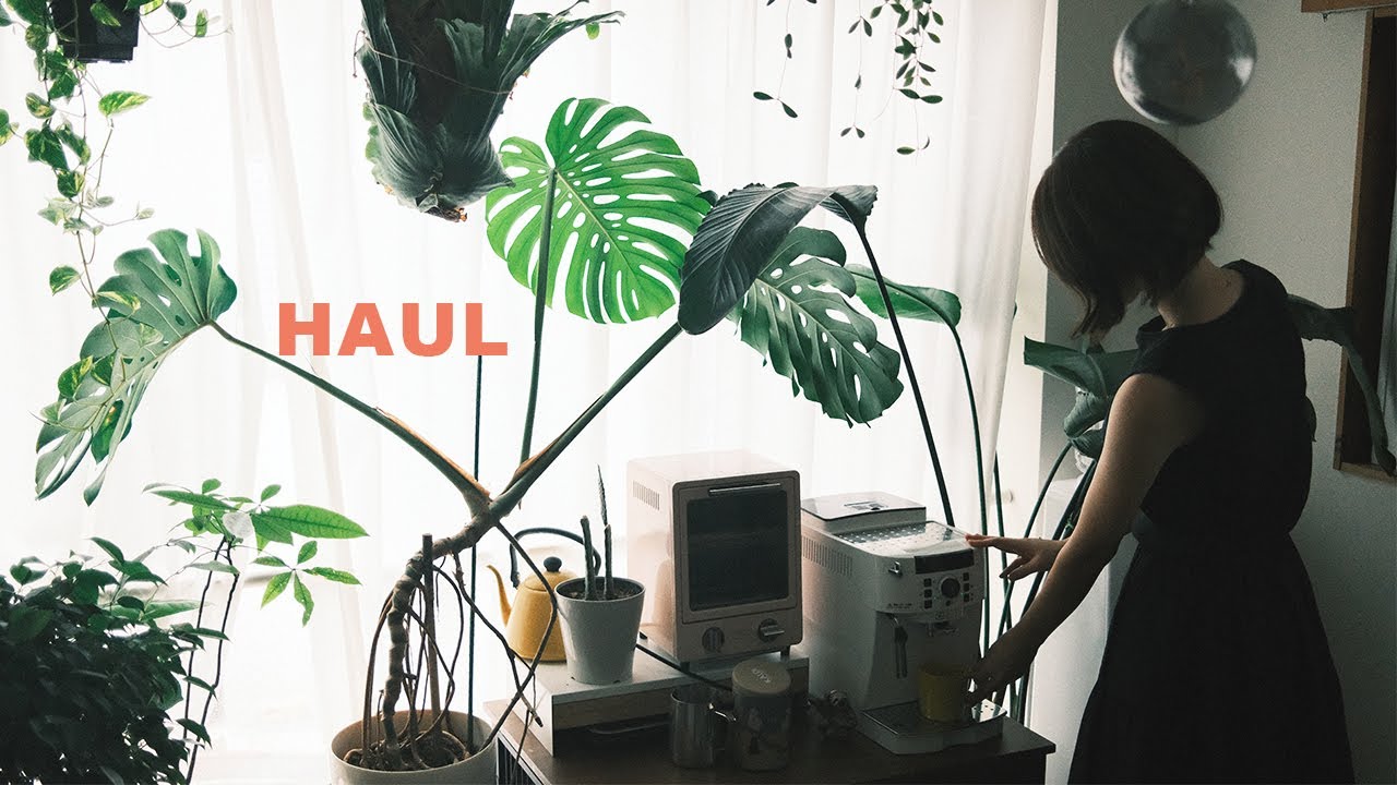 【HAUL】2025年上半期、暮らしを楽しむ買って良かった購入品紹介🛍️バルミューダのプレートなど家電・猫グッズ・カメラ素敵なアイテム達を紹介します♡