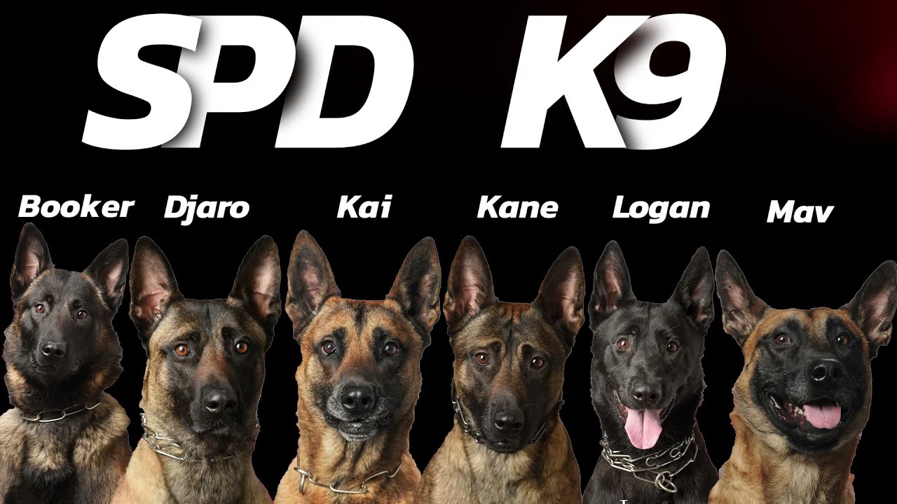 Scottsdale Police K9 Unit