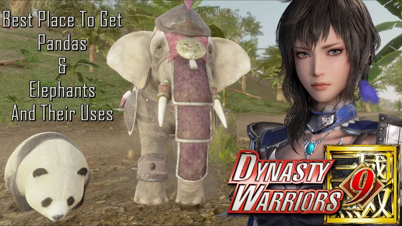 Best Area To Get Panda & Elephant And Their Uses!! | Dynasty Warriors 9 |
