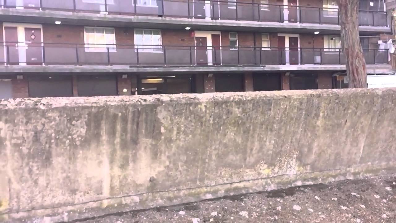 Portuguese Water dog Zigmeister jumping 1.6m wall 240fps HD