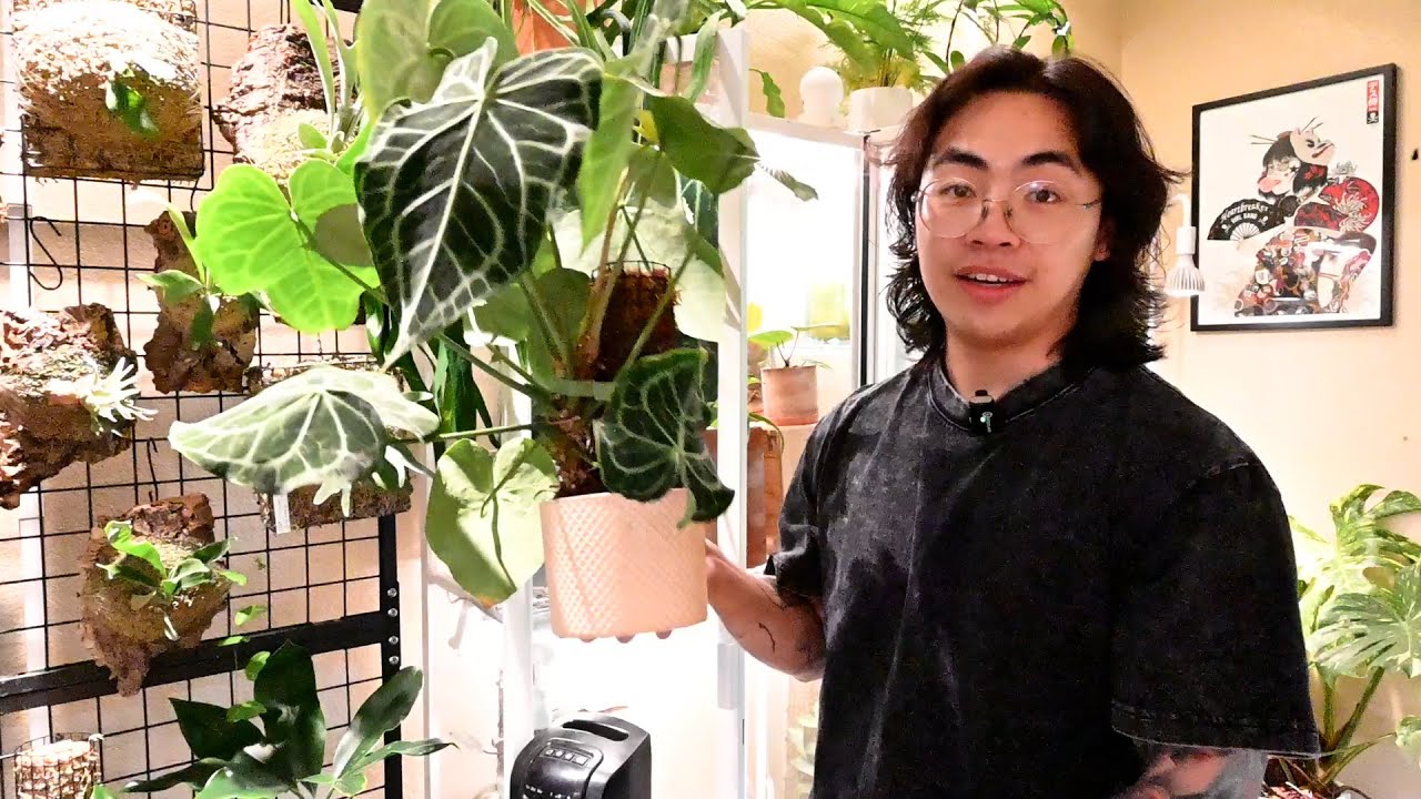 Watch me water my plants and yap