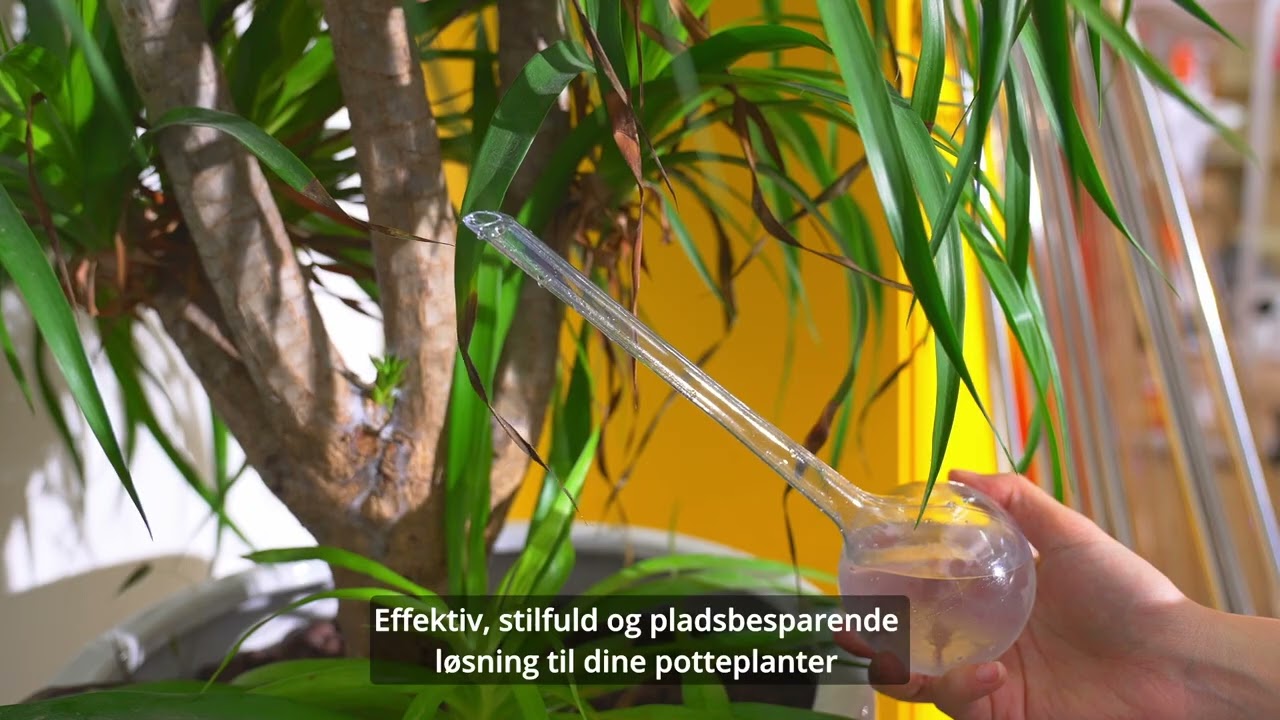 Selvvandingsglas til Planter - Automatisk Vanding