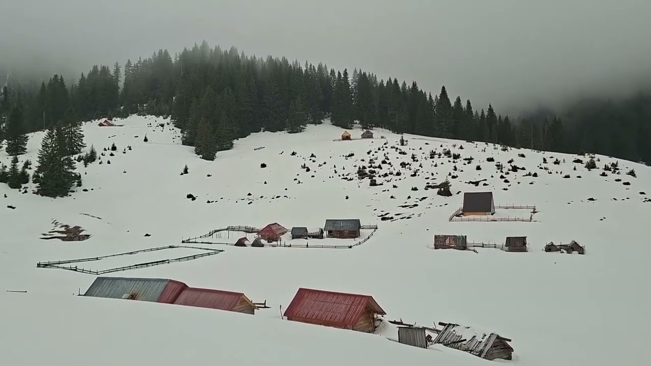 Мокри До 05.03.2026.