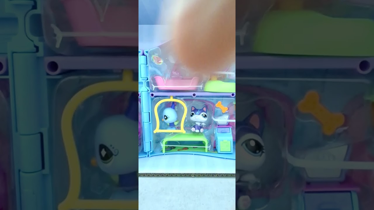 Miniş evi açıyoruz 