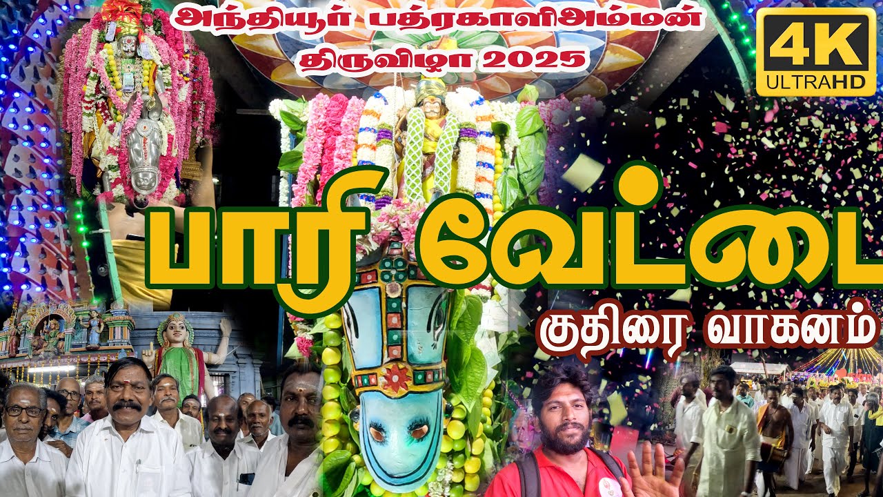 அந்தியூர் பத்ரகாளியம்மன் திருவிழா 2025 || பாரிவேட்டை || குதிரை வாகனம்