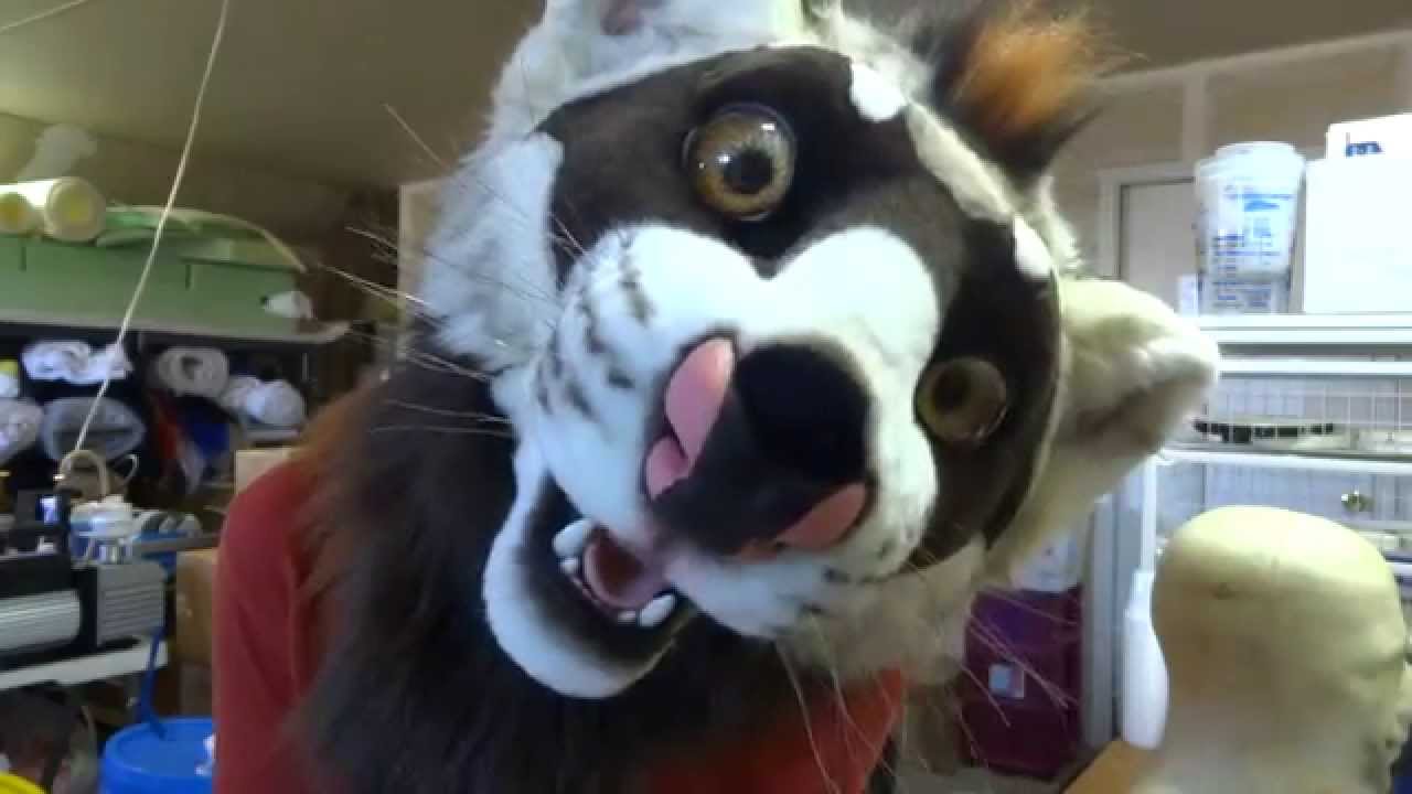 Scout Ferret Head
