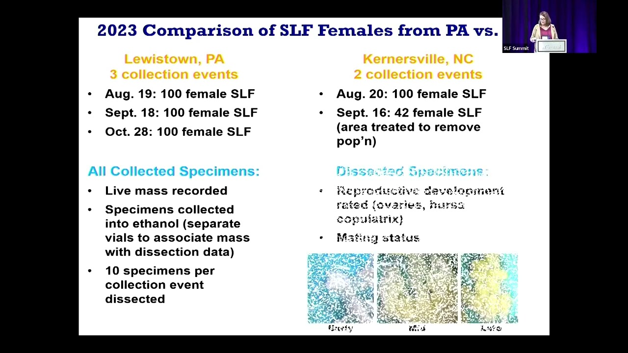 Spotted Lanternfly Maturation in Expanded Range and Updated Trapping Strategies - SLF Summit 2024