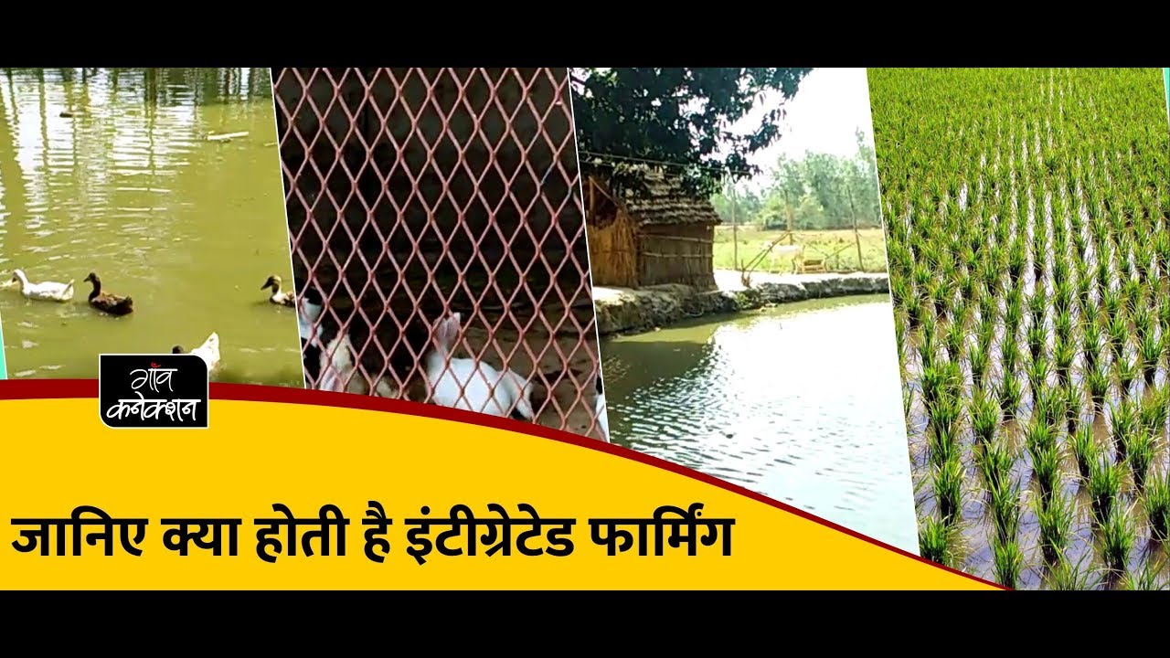 जानिए क्या होती है इंटीग्रेटेड फार्मिंग I Integrated Farming