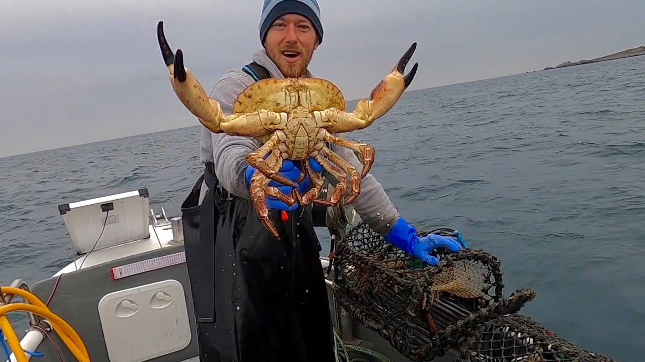 GIANT CRABS !! - Delicious Coconut & Crab Linguine!