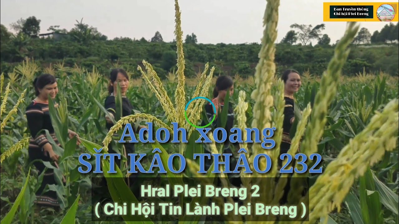 Adoh xoang Hral Plei Breng 2 - SǏT KÂO THÂO - 232