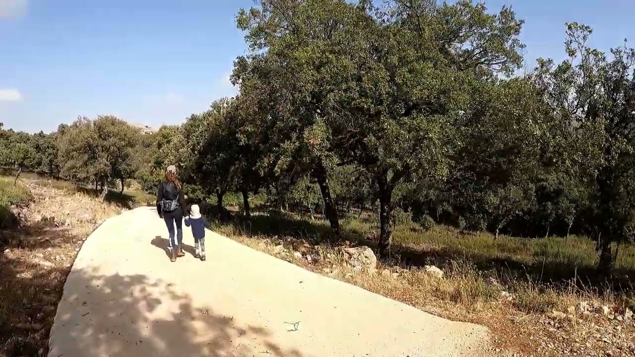 Sendero de las Conejeras. Sierra de las Nieves 2025
