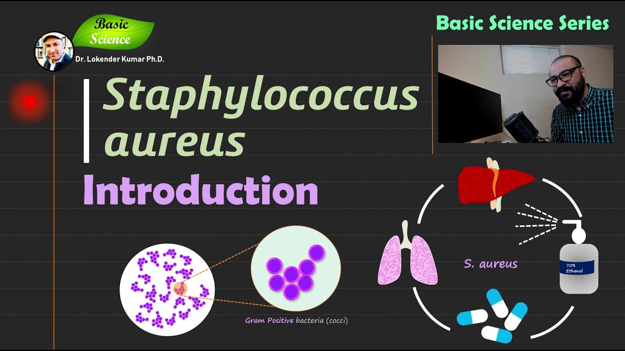 Staphylococcus aureus | Introduction | Bacteriology | Basic Science Series
