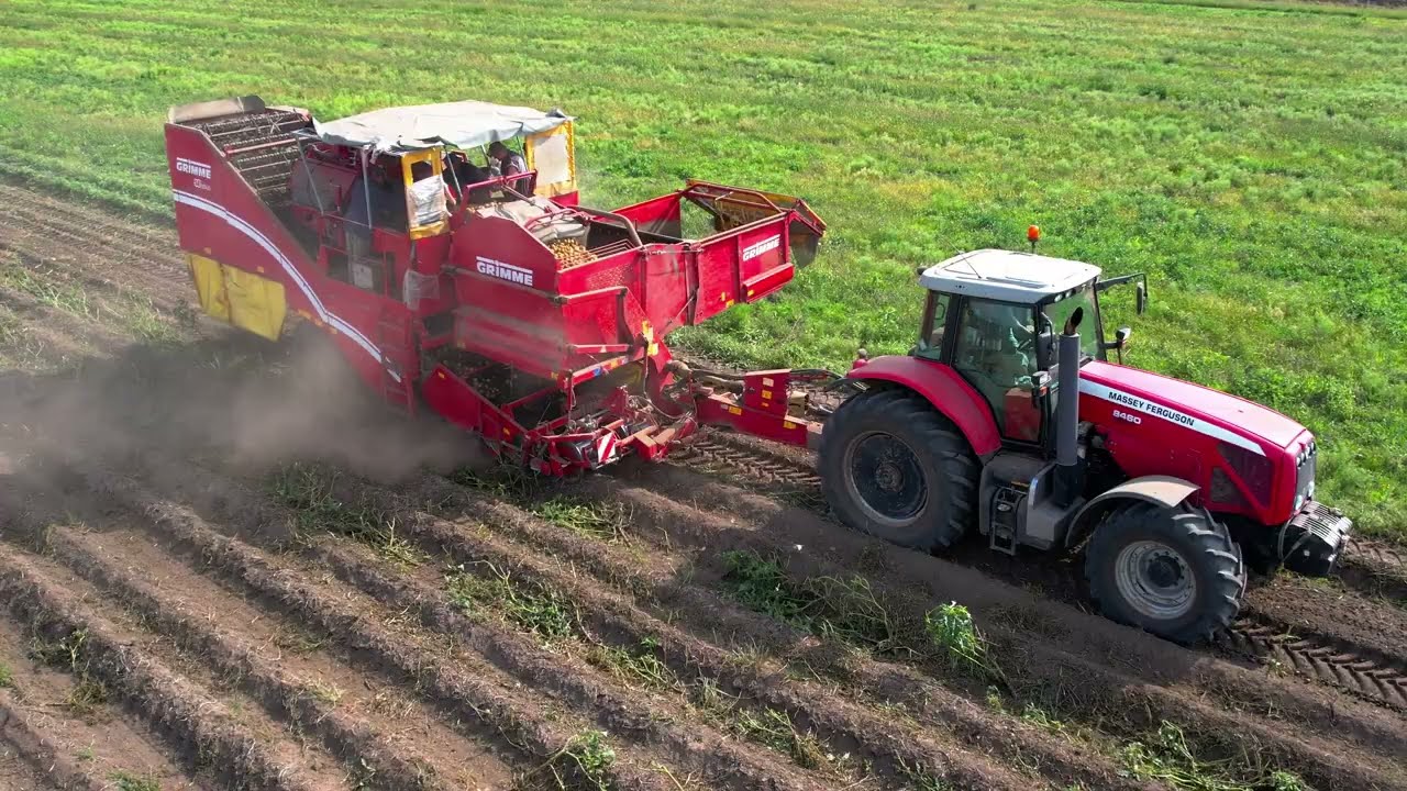 Sklizeň brambor 2021 / Potato harvest 2021 - AGRO MĚŘ&Iacute;N / DRNHOLEC