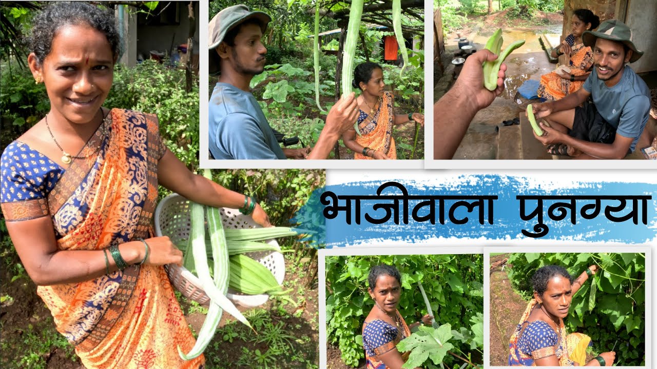 पुनग्याच्या बागेचो सध्याचो स्टेटस | पडवळ, दोडकी, काकडी आणि बरंच काही | कोकणातली शेती ColoursOfKonkan