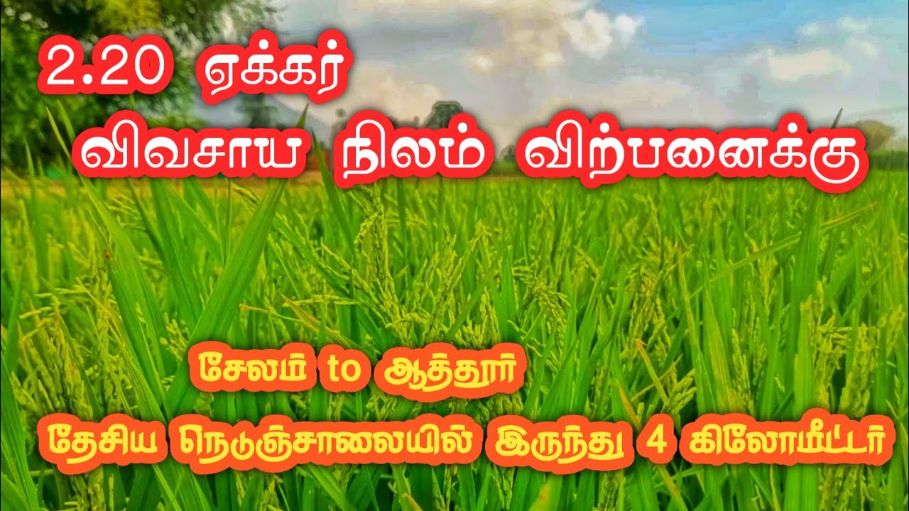 2acre 20cent agriculture land sale in salem attur near