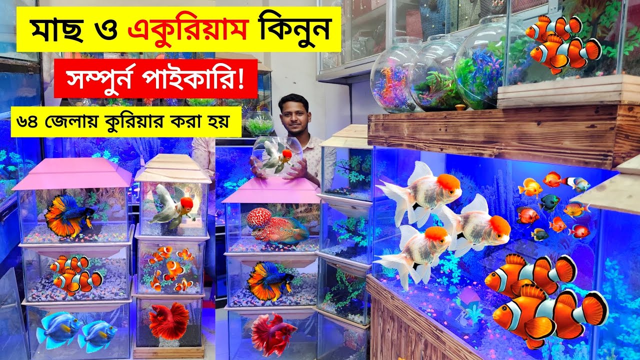 Aquarium Fish Price 2025 |🐠🐠Aquarium Fish Price | Aquarium | Aquarium Fish Price In BD🐠🐠