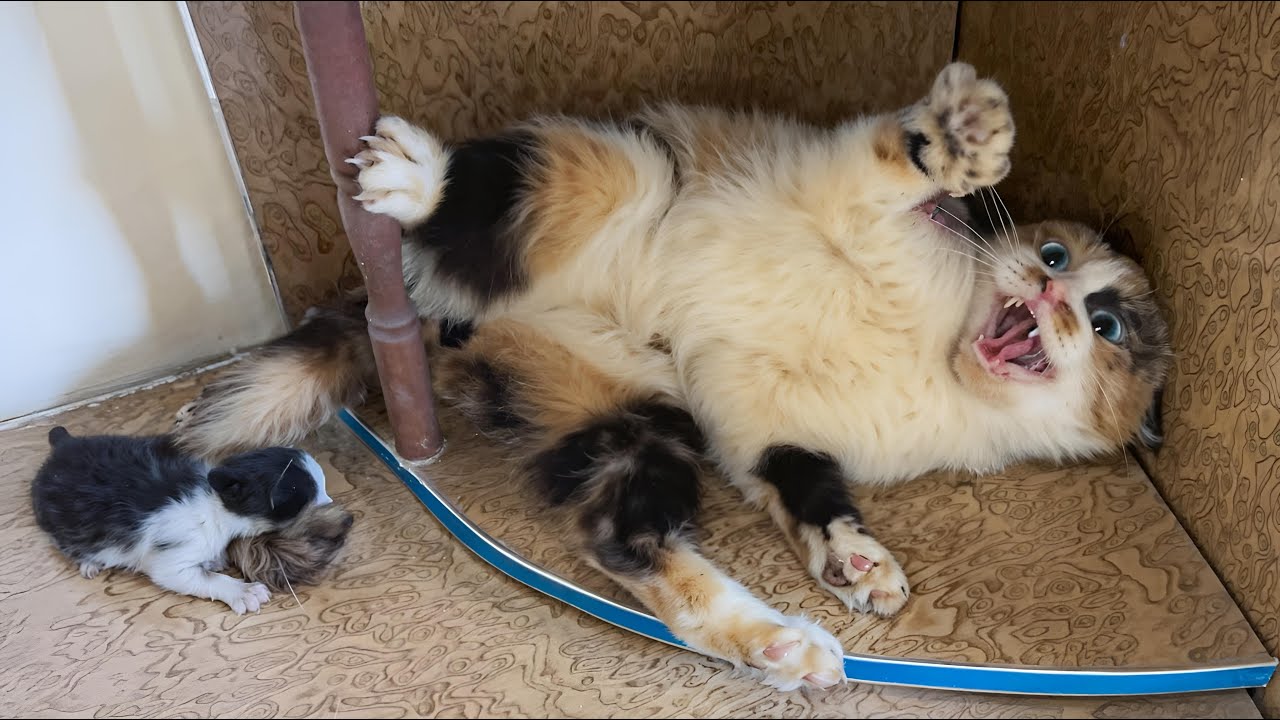 She reacted at first, then kept her little ones close in peace.