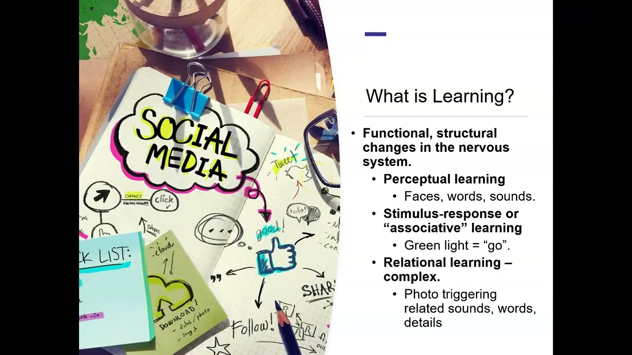 Biopsych (3/24/25): Intro to Learning, Memory, and LTP