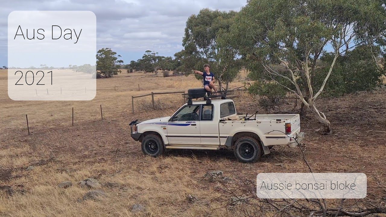 Aussie Bonsai Bloke, Action packed Australia Day 2021, Collecting, rain, BBQ and Trees, Enjoy :-)