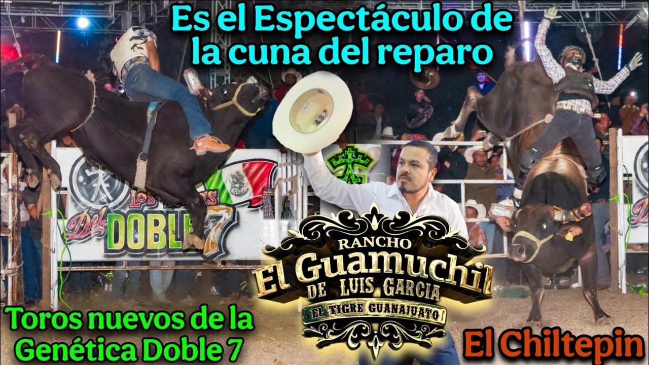 ¡Llego el espectáculo de la Genética Doble 7 con Toros nuevos! Rancho el Guamuchil en Sayula Pueblo