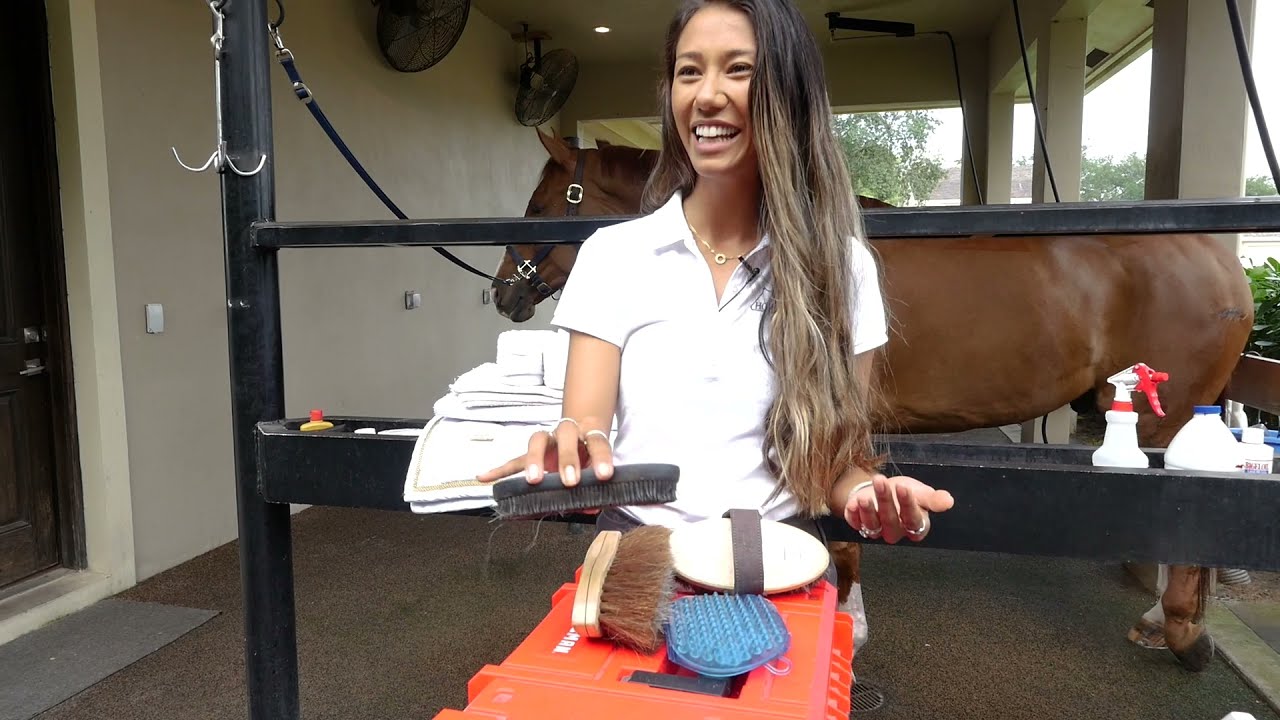 Get Horse Show-Ready with Corro Team Rider & International Dressage Rider Ellesse Jordan Gundersen