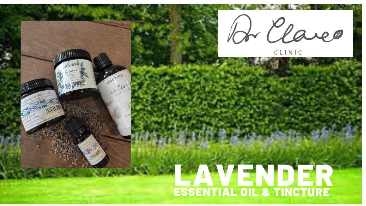 LAVENDER HERB- uses and benefits of the essential oil and tincture