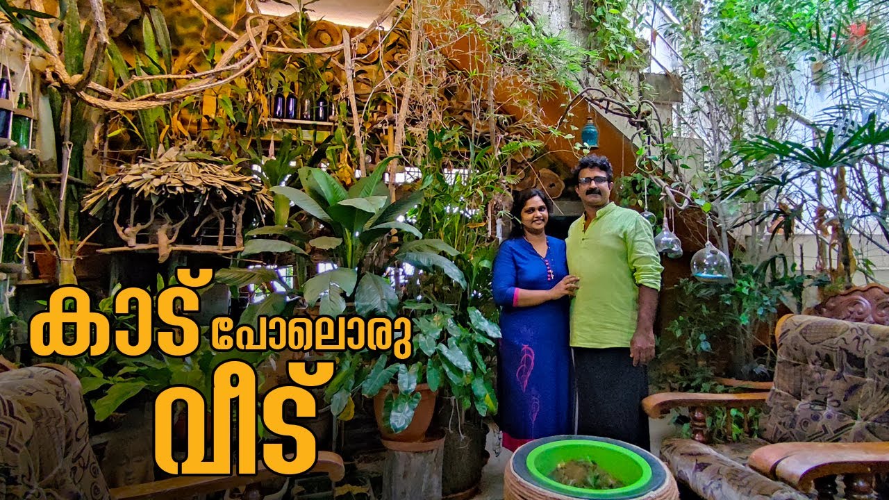 വീട് മുഴുവൻ കാടാക്കി മാറ്റിയ സ്‌കൂൾമാഷ്| Wild plants inside the house|Curious home|Come on everybody