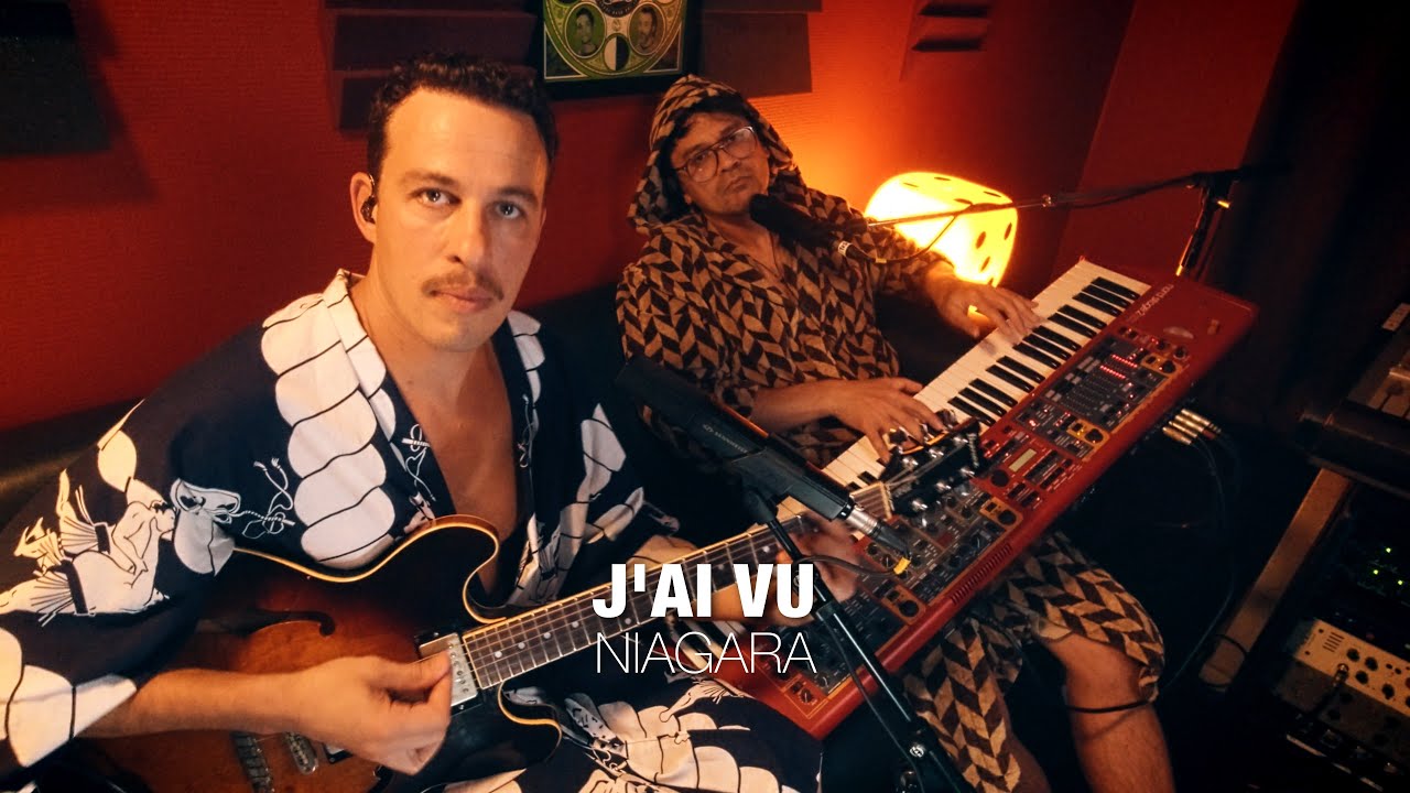 J'ai Vu (Cover Reggae) - Niagara by Booboo'zzz All Stars