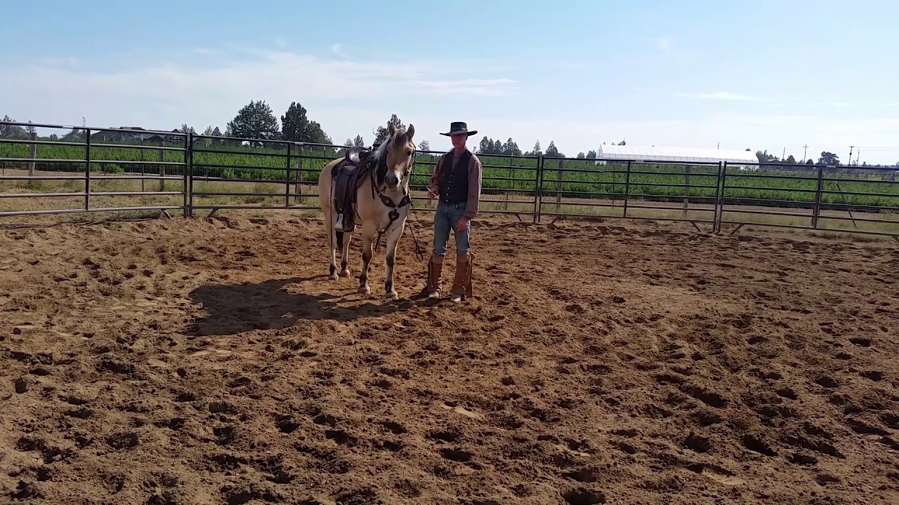 Bjorn at Clay Wright training #3