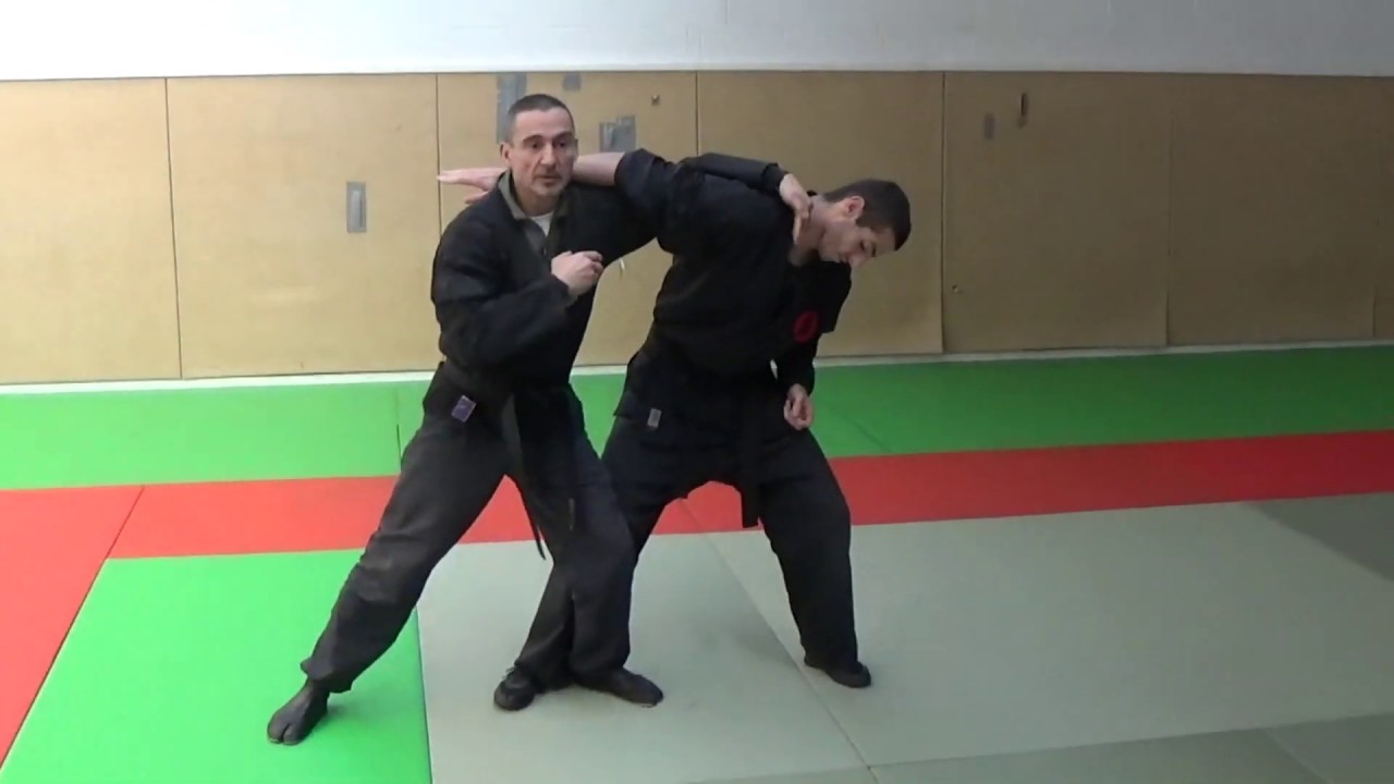 Bujinkan Budo Taijutsu : compilation de nos entraînements à Saintes
