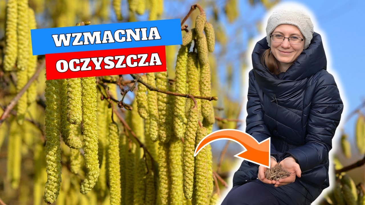 Te Kwiaty Oczyszczą i Wzmocnią Organizm