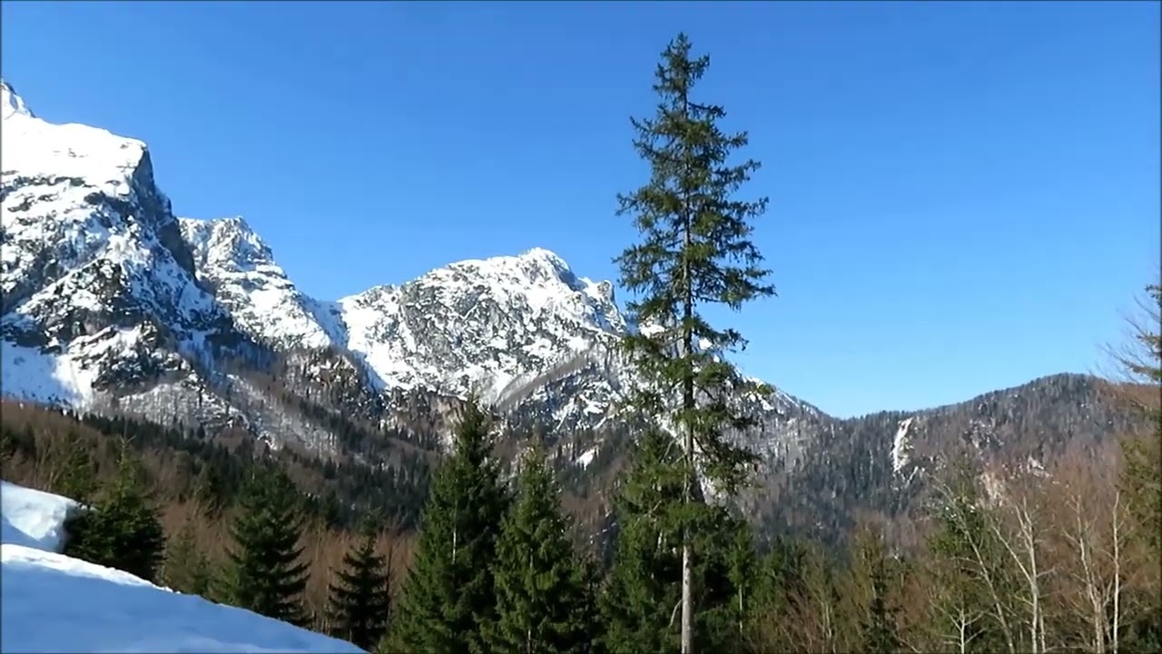 Zacchi Hütte 07 03 2026