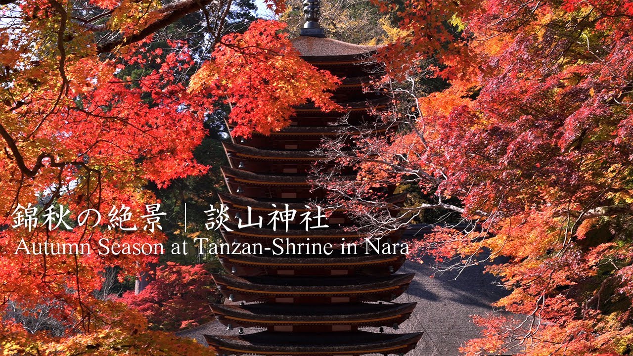 西の日光の錦秋「談山神社の紅葉」｜桜井市：Autumn Season at Tanzan-Shrine in Nara, Japan｜Sakurai City