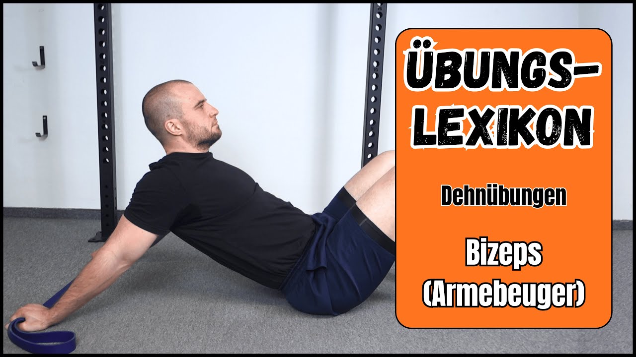 Bizeps (Armbeuger) - &Uuml;bungslexikon Dehn&uuml;bungen