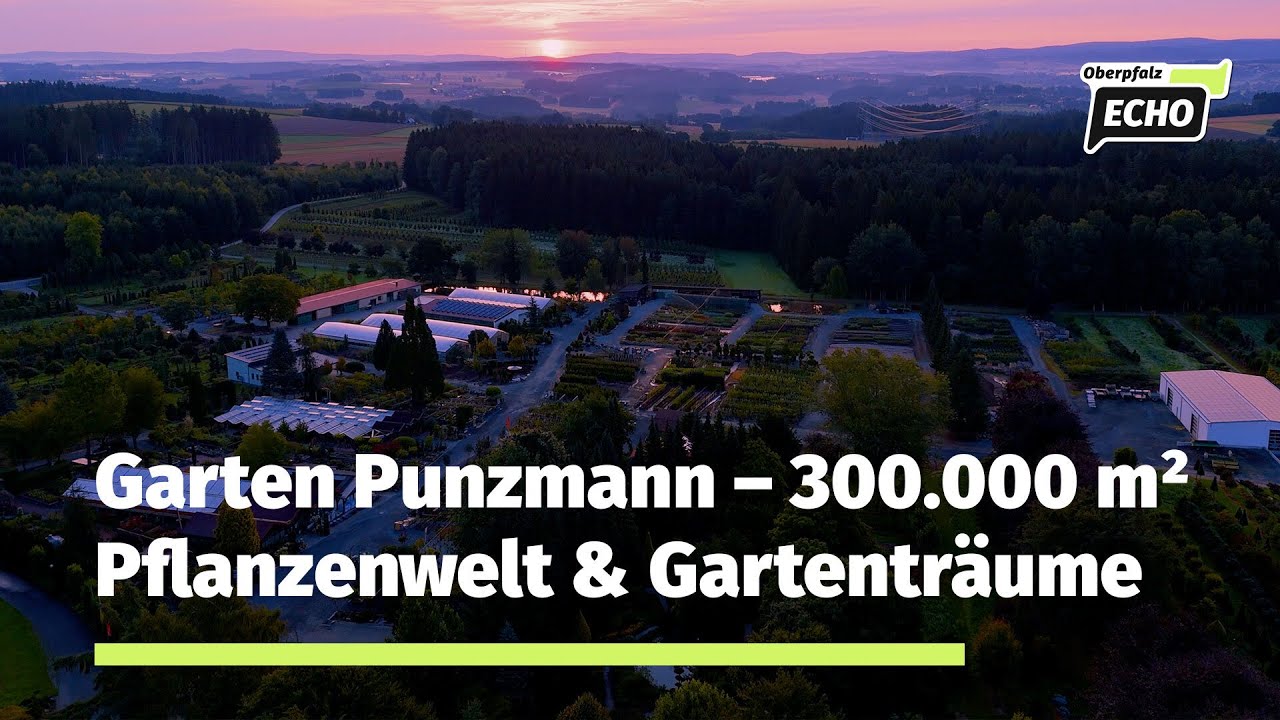 Eine der größten Baumschulen Bayerns 🌳 | Garten Punzmann – Gartenglück seit 1964 in 3. Generation