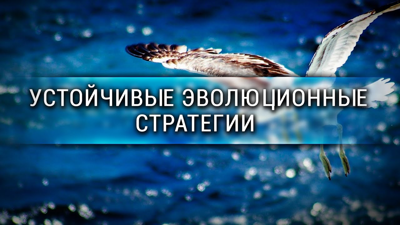 Устойчивые эволюционные стратегии с Ричардом Докинзом [Veritasium]