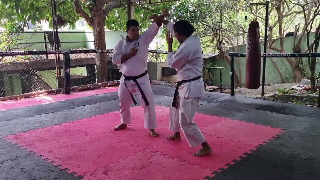 matsumura passai bunkai kata. Kleber sensei