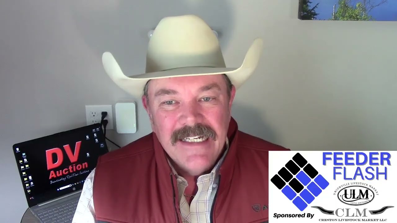 Feeder Flash 3/13:  Cattle Stabilize