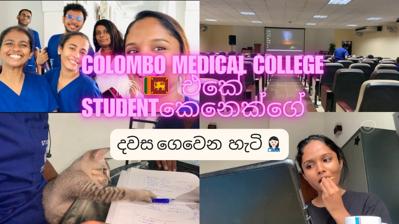 Medical college එකේ දවසක් | Day in my life as a med student |හොඳට ම වැස්ස |Hospital එකේ රෑ casualty