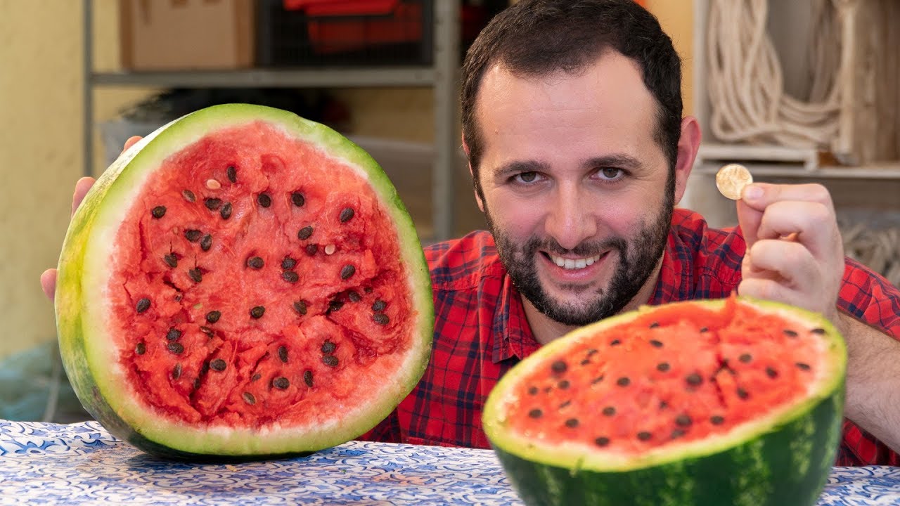Como ABRIR uma MELANCIA com uma moeda