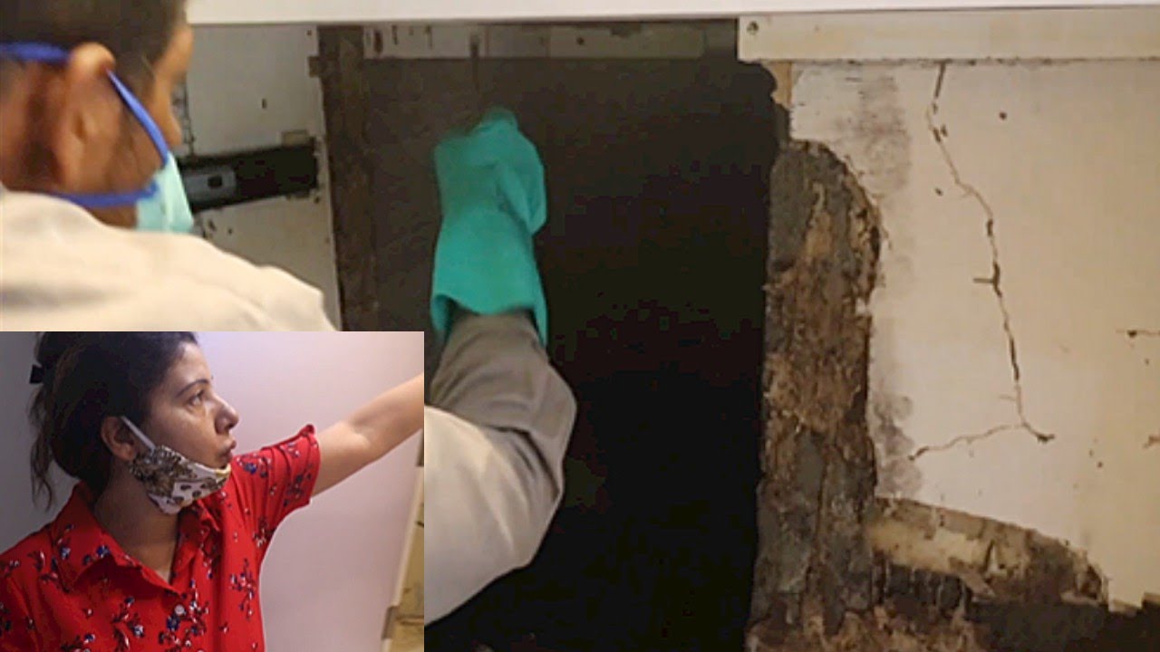 DEEMAK Destroyed Everything | Termite Pest Control | Ss vlogs :-)