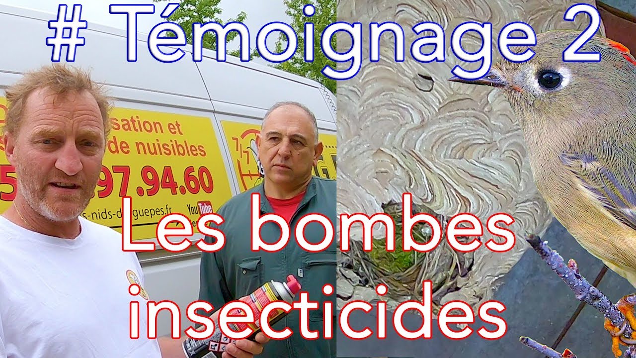 Les bombes insecticides, les limites de leurs efficacités - Témoignage # 2
