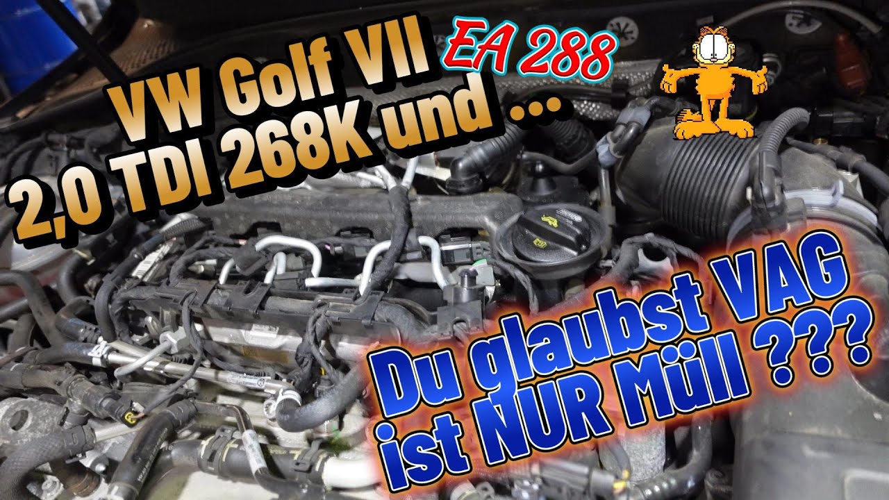 VW Golf VII 2,0 TDI EA 288 mit fast 300k und sonst so ???#automobile