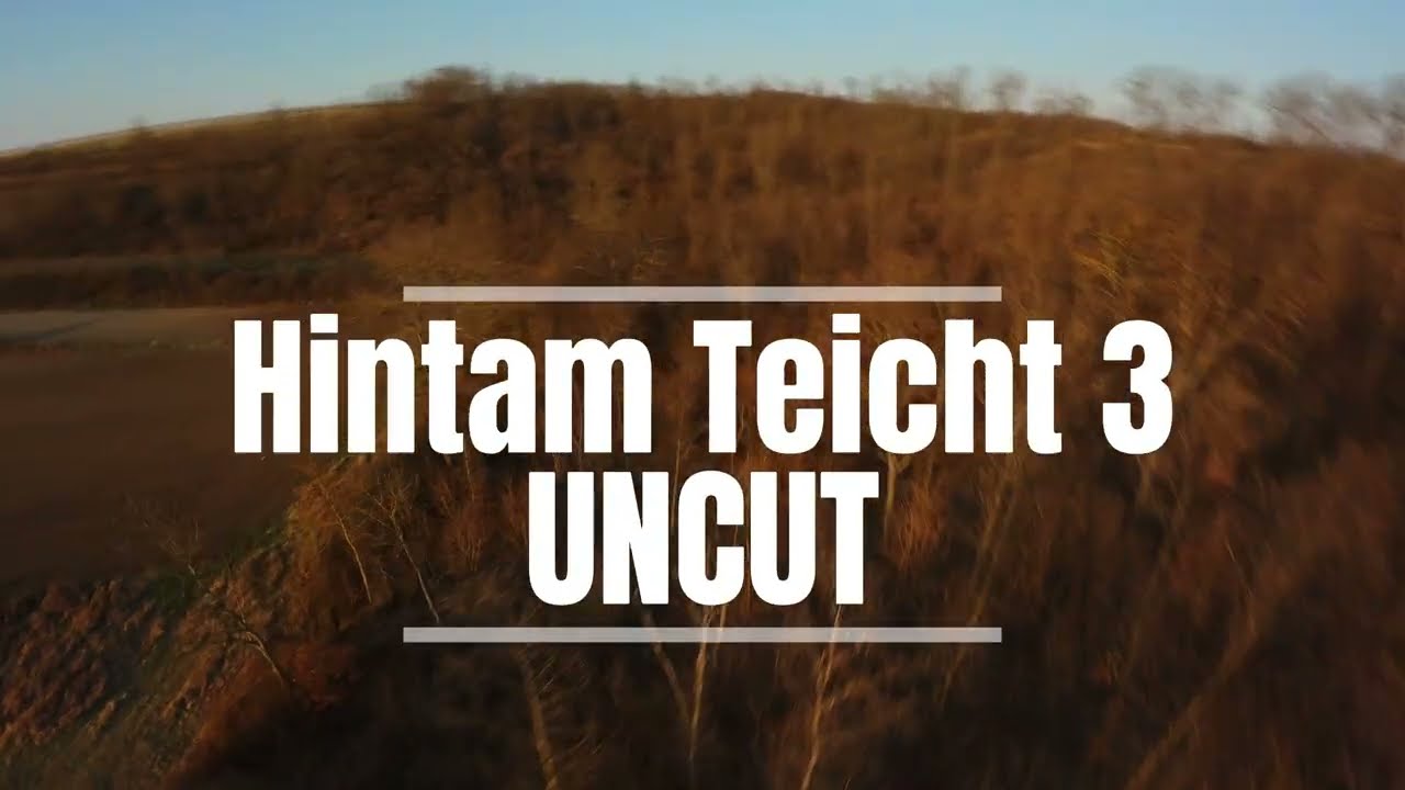Teicht 3
