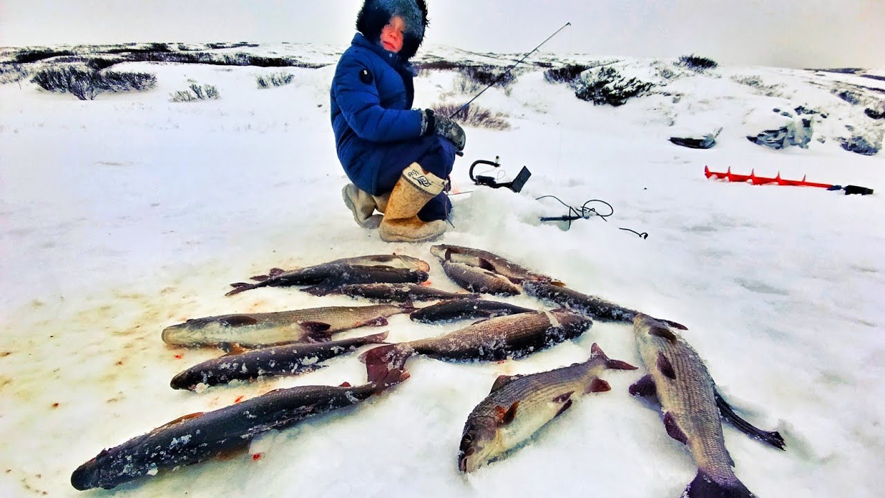 МАЛЬЧИК ВЫЛОВИЛ ВЕСЬ КРУПНЯК!!! ЗИМНЯЯ РЫБАЛКА 2025, ЛОВЛЯ ХАРИУСА ЗИМОЙ!!! ПЕРВЫЙ ЛЕД 2025