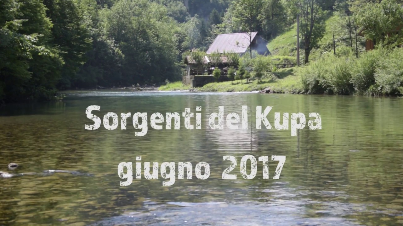 Kupa 2017