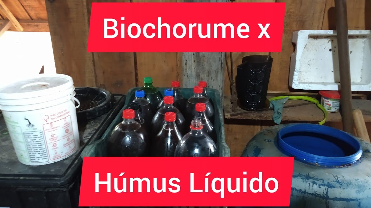 Minhocultura Conheça o Biochorume e o Húmus Líquido 