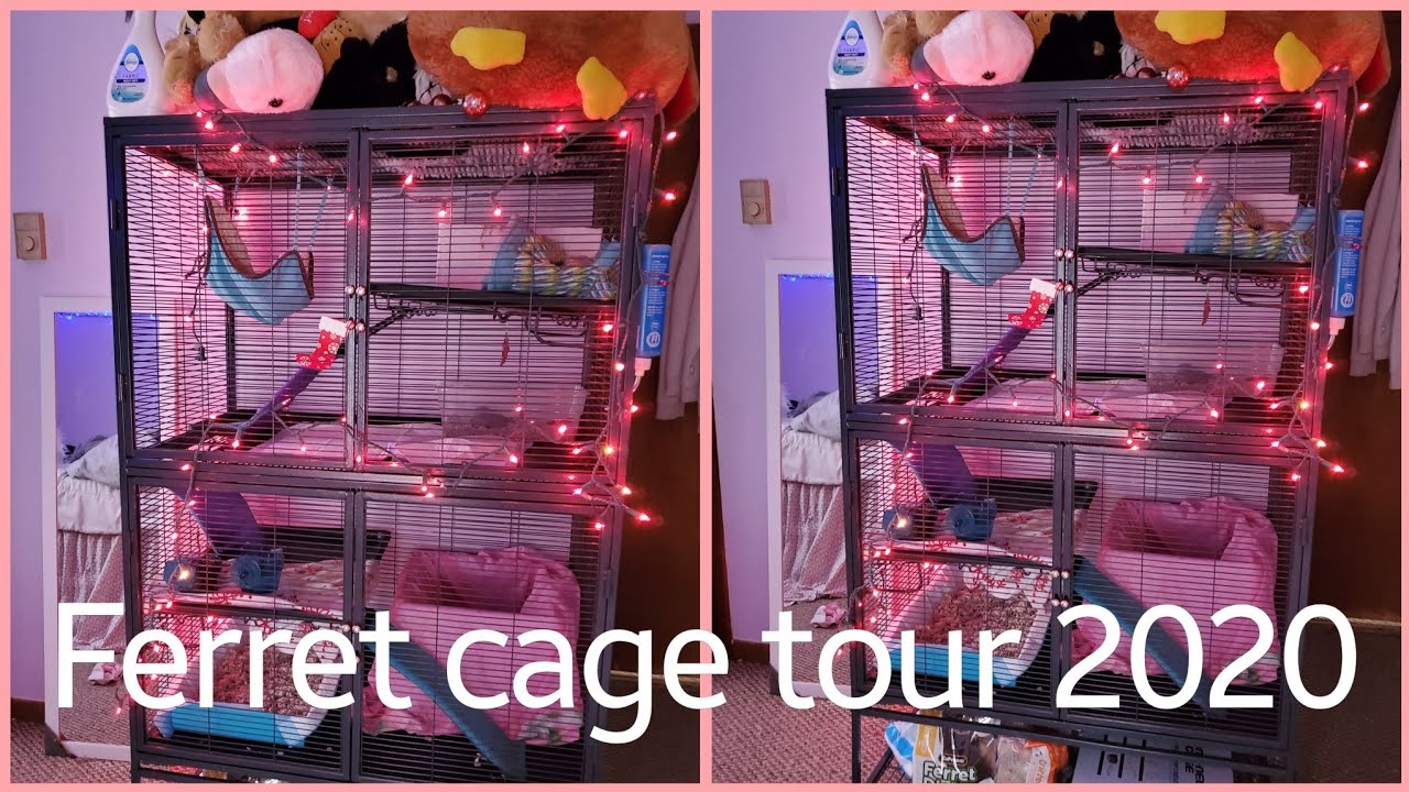 FERRET CAGE TOUR 2020 | SMOKEYS CAGE