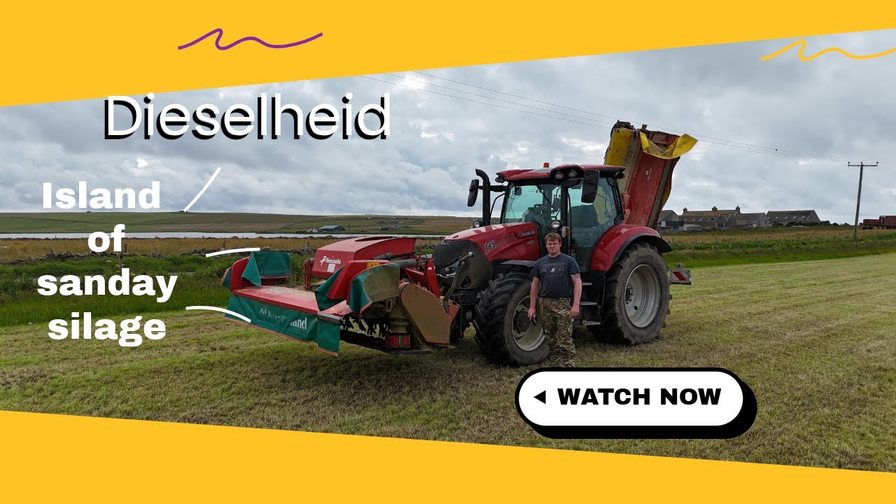 island of sanday Silage 2025